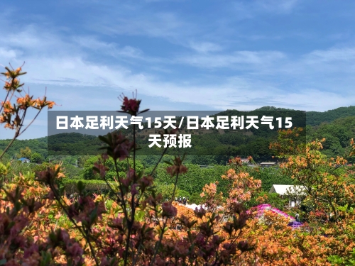 日本足利天气15天/日本足利天气15天预报
