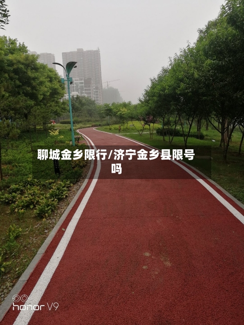 聊城金乡限行/济宁金乡县限号吗