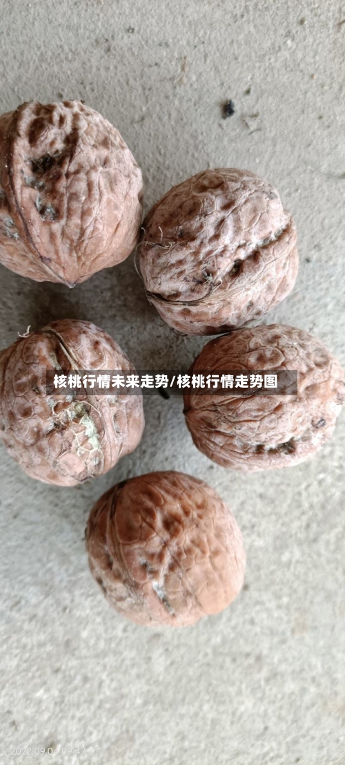核桃行情未来走势/核桃行情走势图