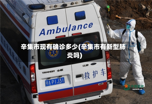 辛集市现有确诊多少(辛集市有新型肺炎吗)