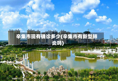 辛集市现有确诊多少(辛集市有新型肺炎吗)