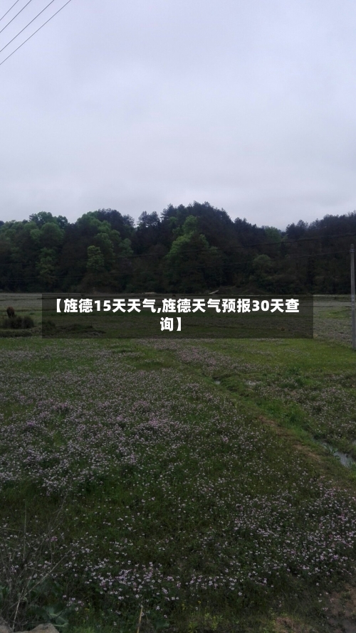 【旌德15天天气,旌德天气预报30天查询】