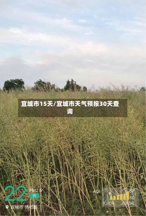 宜城市15天/宜城市天气预报30天查询