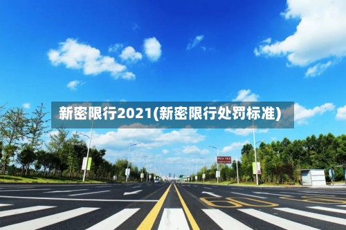 新密限行2021(新密限行处罚标准)