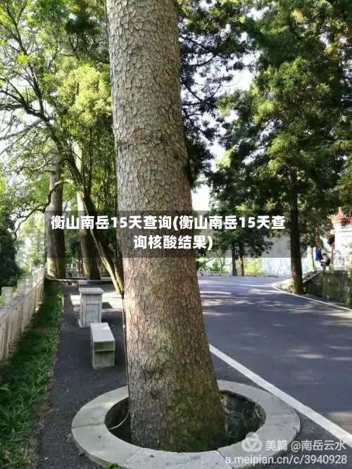 衡山南岳15天查询(衡山南岳15天查询核酸结果)