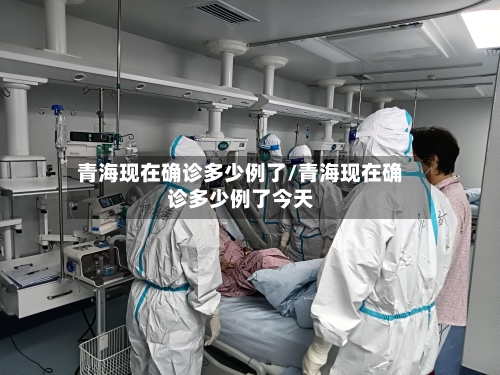 青海现在确诊多少例了/青海现在确诊多少例了今天