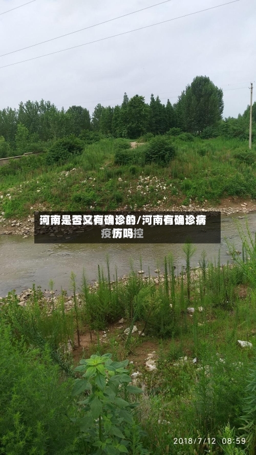 河南是否又有确诊的/河南有确诊病历吗