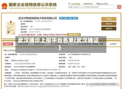 武汉确诊上报平台名单(武汉确证)