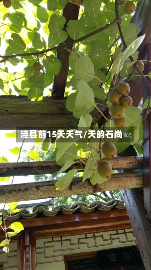 泾县前15天天气/天韵石尚