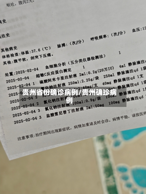 贵州省份确诊病例/贵州确珍病例
