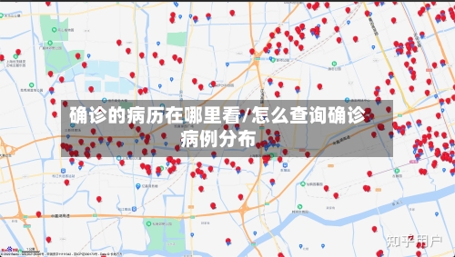 确诊的病历在哪里看/怎么查询确诊病例分布