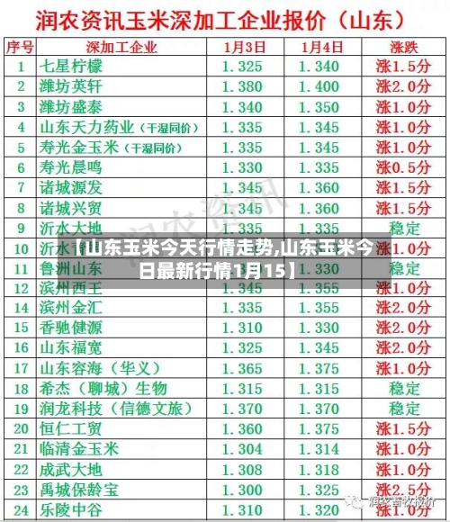 【山东玉米今天行情走势,山东玉米今日最新行情1月15】