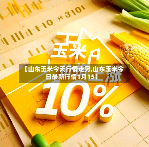 【山东玉米今天行情走势,山东玉米今日最新行情1月15】