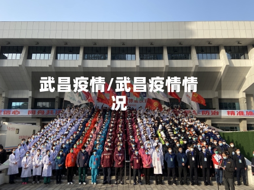 武昌疫情/武昌疫情情况