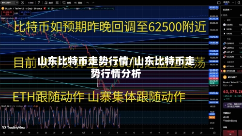 山东比特币走势行情/山东比特币走势行情分析