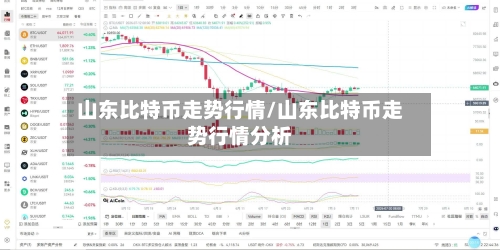 山东比特币走势行情/山东比特币走势行情分析
