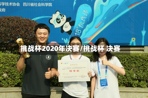 挑战杯2020年决赛/挑战杯 决赛