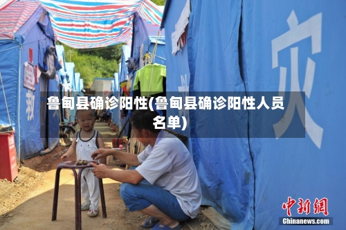 鲁甸县确诊阳性(鲁甸县确诊阳性人员名单)
