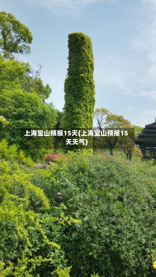 上海宝山预报15天(上海宝山预报15天天气)
