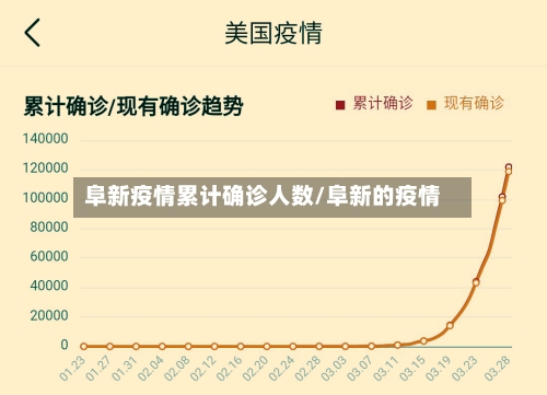 阜新疫情累计确诊人数/阜新的疫情