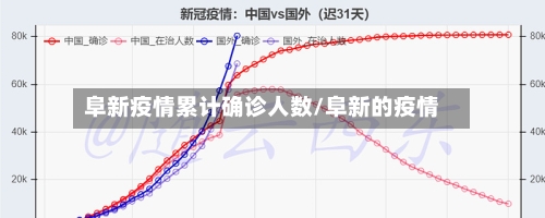 阜新疫情累计确诊人数/阜新的疫情