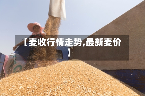 【麦收行情走势,最新麦价】