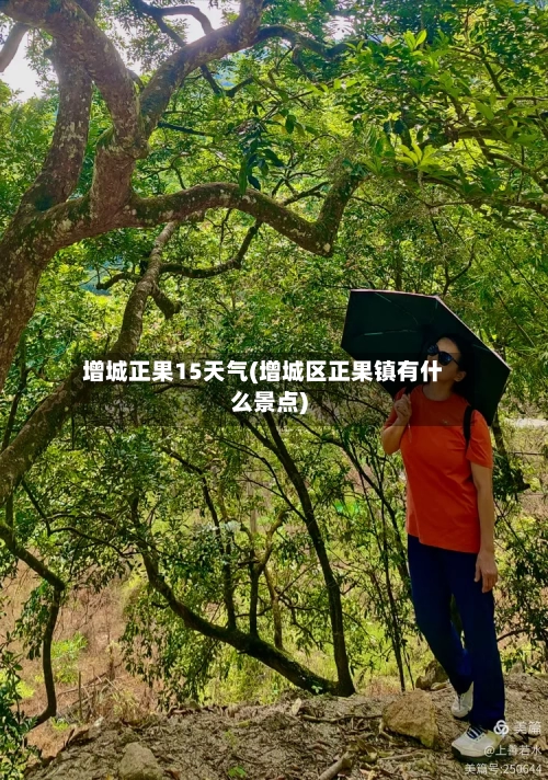 增城正果15天气(增城区正果镇有什么景点)