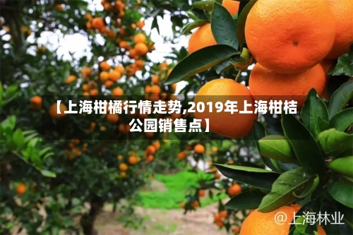 【上海柑橘行情走势,2019年上海柑桔公园销售点】
