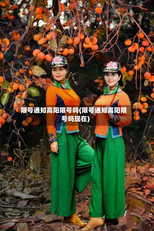 限号通知高阳限号吗(限号通知高阳限号吗现在)
