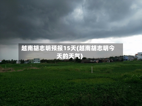 越南胡志明预报15天(越南胡志明今天的天气)