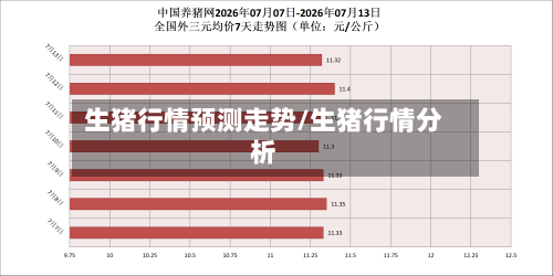 生猪行情预测走势/生猪行情分析