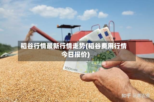 稻谷行情最新行情走势(稻谷费用行情今日报价)