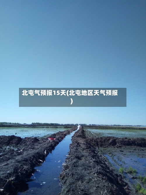 北屯气预报15天(北屯地区天气预报)