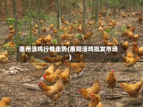 惠州活鸡行情走势(惠阳活鸡批发市场)