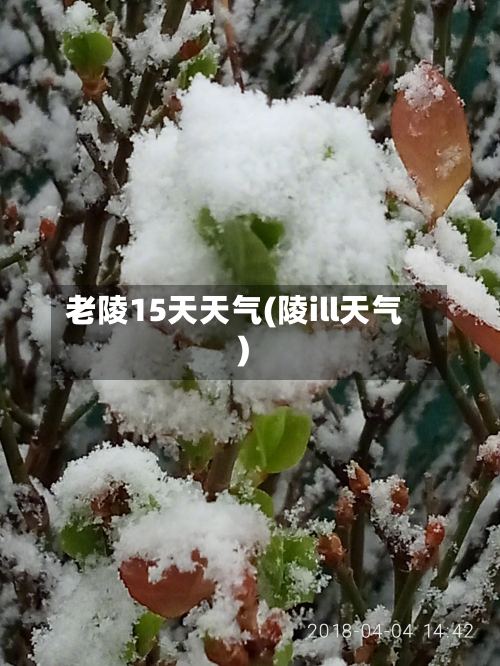 老陵15天天气(陵ill天气)