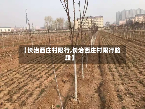 【长治西庄村限行,长治西庄村限行路段】
