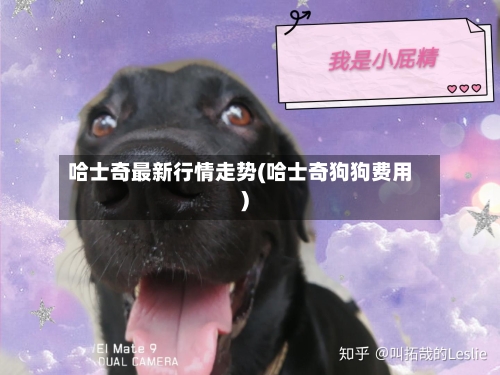 哈士奇最新行情走势(哈士奇狗狗费用)