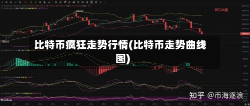 比特币疯狂走势行情(比特币走势曲线图)