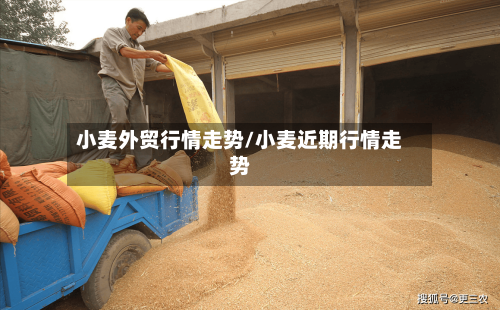 小麦外贸行情走势/小麦近期行情走势