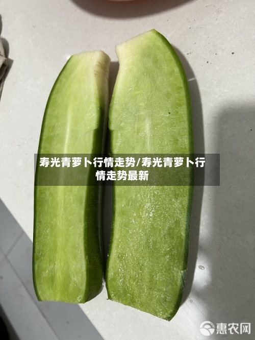 寿光青萝卜行情走势/寿光青萝卜行情走势最新