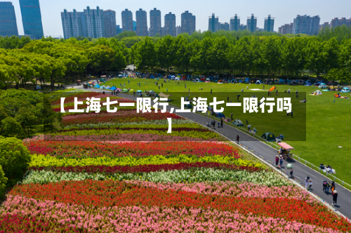 【上海七一限行,上海七一限行吗】