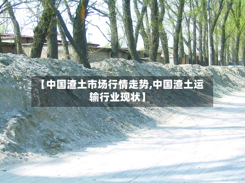 【中国渣土市场行情走势,中国渣土运输行业现状】