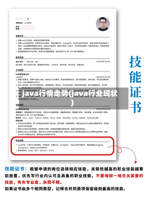 java行情走势(java行业现状)