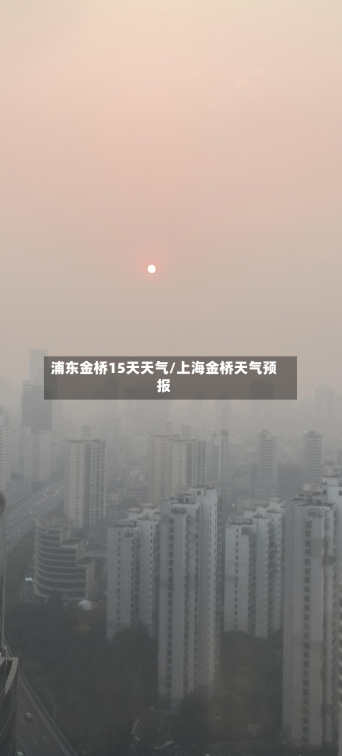 浦东金桥15天天气/上海金桥天气预报
