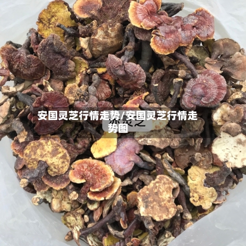 安国灵芝行情走势/安国灵芝行情走势图