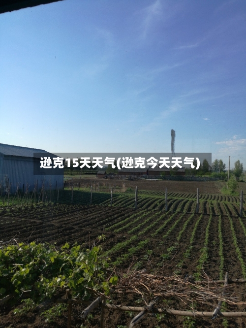 逊克15天天气(逊克今天天气)