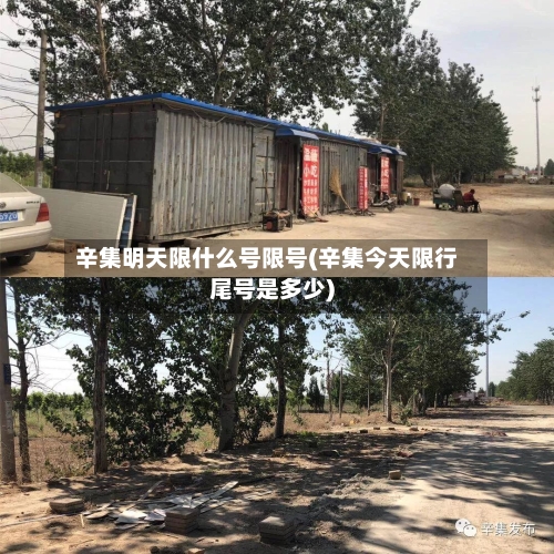 辛集明天限什么号限号(辛集今天限行尾号是多少)