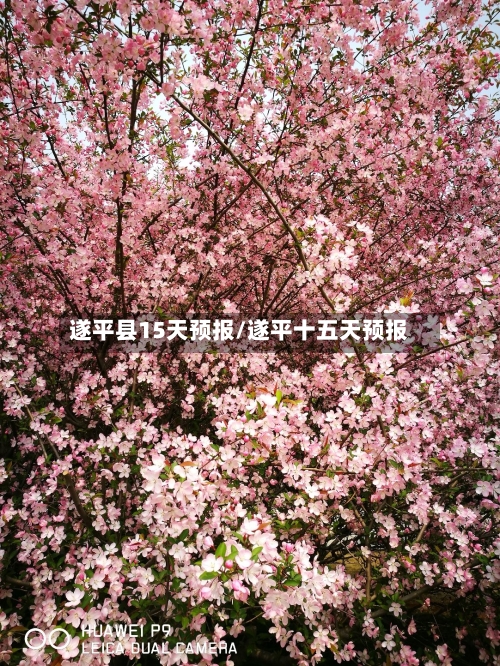 遂平县15天预报/遂平十五天预报