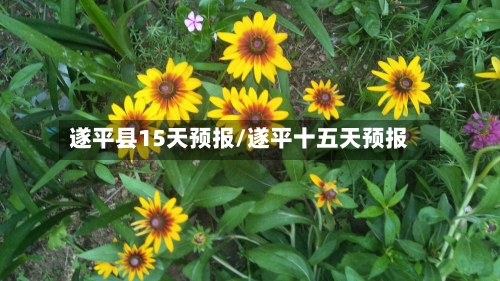 遂平县15天预报/遂平十五天预报