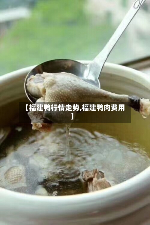 【福建鸭行情走势,福建鸭肉费用】